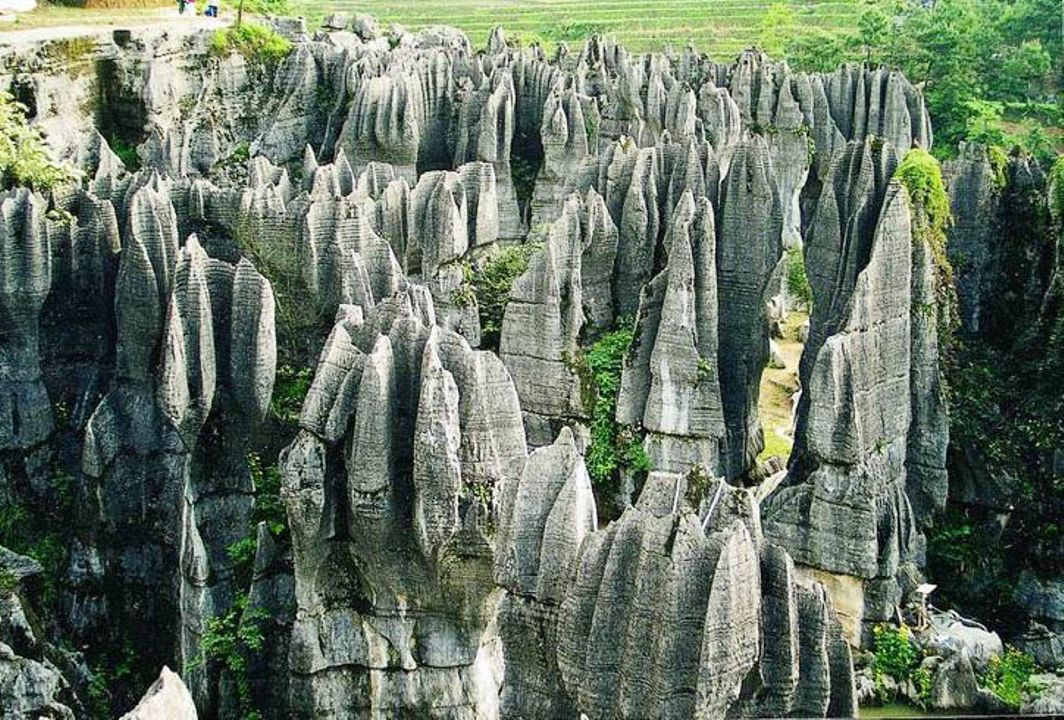 FrstHand | The Oldest Stone Forest In China