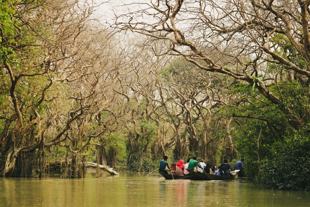 FrstHand | Ratargul Swamp Forest : Beauty of Bangladesh