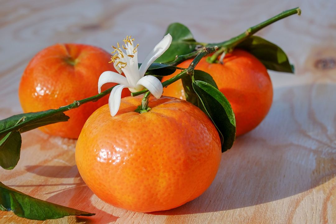 frsthand-tangerine-fruit-benefits