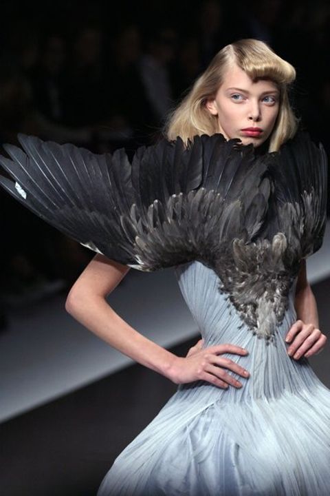 frsthand-birds-fashion