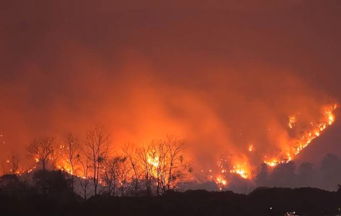 Burning forest nighttime фон стим фото 7