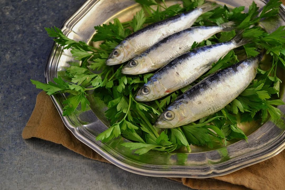 FrstHand Wonderful Benefits of Eating Sardines