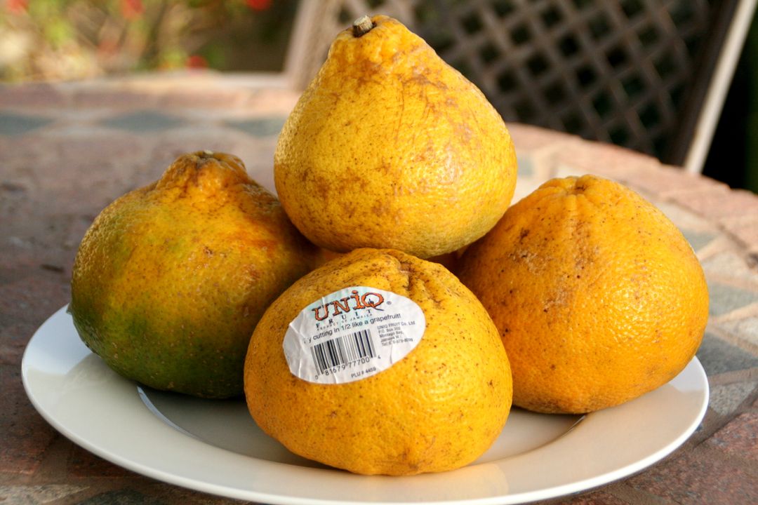 What Is Ugli Fruit Good For